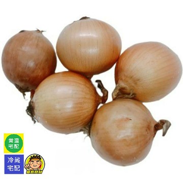 【蘭陽餐飲食材行】生鮮 進口洋蔥 / 紫洋蔥（約1.2kg/包）→ 生鮮蔬果類皆下單後 隔日早上才新鮮進貨 ( 此為宅配出貨品號 )