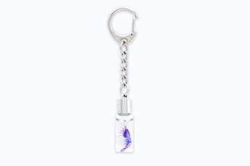 透明生物鑰匙圈 - 多齒新米蝦 Neocaridina denticulata