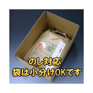 米　新米　天日干し　ササニシキ　白米　30kg　3袋に小分け可能　送料無料　お米　岩手県産　令和5年産米　30キロ　発送日当日精米　お米アレルギー対策にも