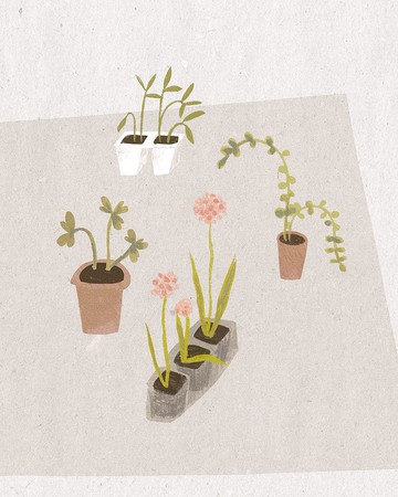 各式 A5 藝術級印刷品 - 成長、喜悅、朋友