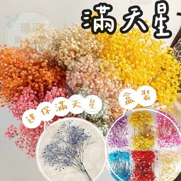 【璟采職人】滿天星 霞草 夢幻草 花材 乾燥滿天星 乾燥花材 乾燥花 不凋花 永生花 仿真花 乾燥花花材 捧花 拍照道具