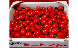 ゆらミニトマト 2kg×1箱　 和歌山県由良町産