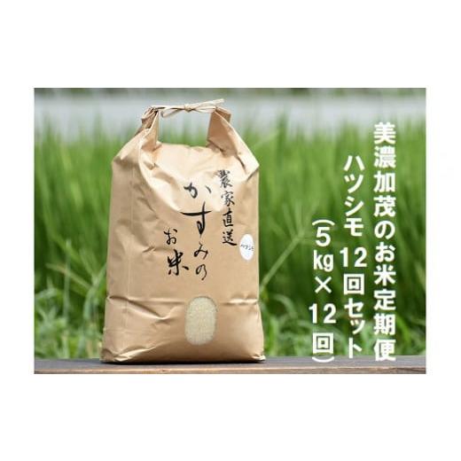 ふるさと納税 岐阜県 美濃加茂市 美濃加茂のお米定期便12回セット（5kg×12回） ハツシモ 春見ライス 米 コメ M82S01