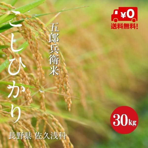 新米 令和５年産 長野県産 こしひかり 五郎兵衛米 １等米 玄米 ３０kg