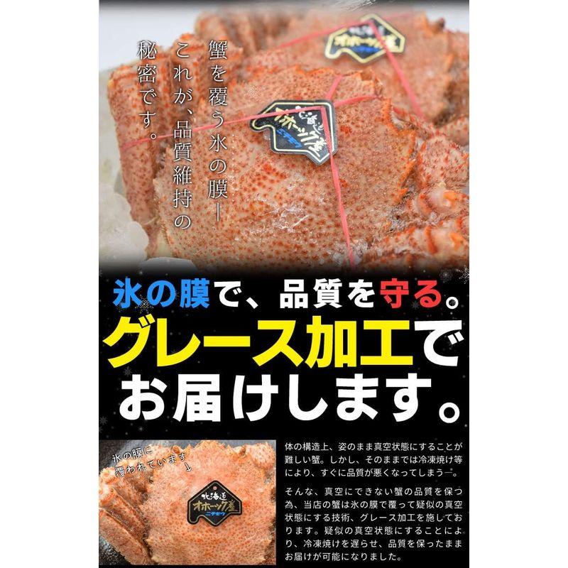 毛ガニ 姿 ボイル ２尾 約１ｋｇ（約５００ｇ×２杯） (ギフト梱包) 北海道 ブランドタグ付 毛蟹 毛がに 冷凍 蟹 かにみそ 海鮮