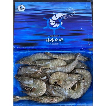 ［誠實討海人］ 活凍大白蝦    31/35 滿1200免運 500克 生凍白蝦 年菜 好吃 31/35 電子發票 泰國