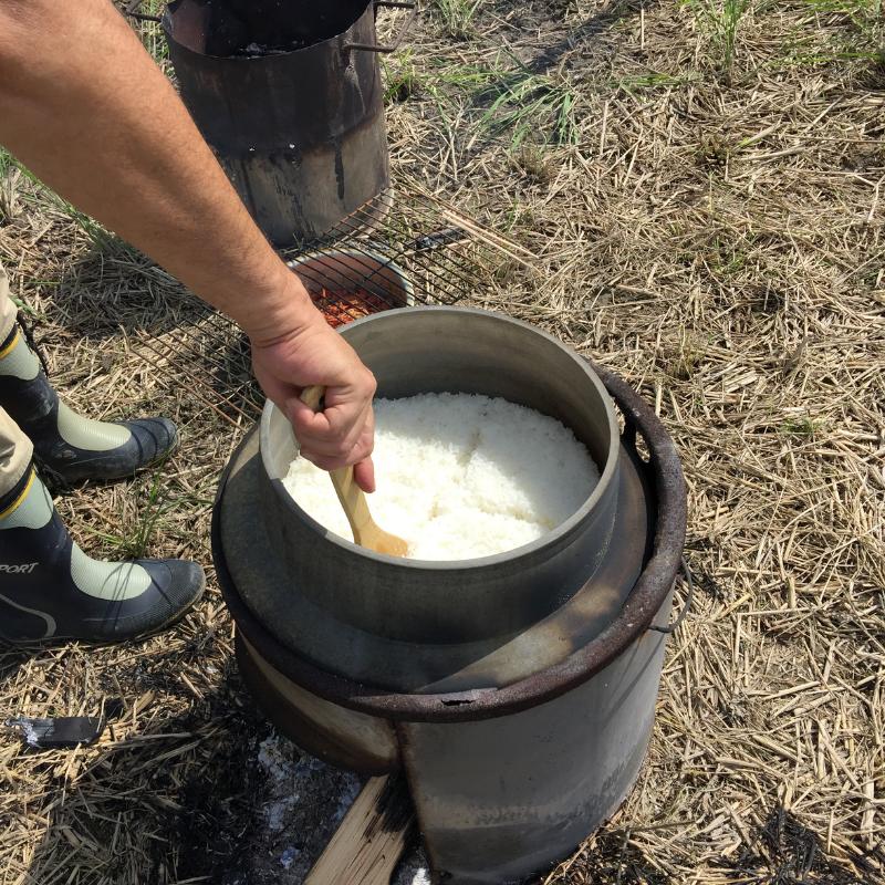 米5Kg 送料無料 特別栽培米 徳島県産 あわみのり 精米 令和5年産 新米