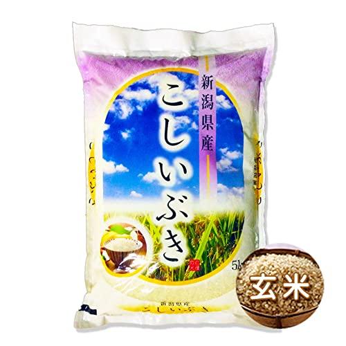 令和5年 新潟産こしいぶき玄米 5kg(5kg×1袋)