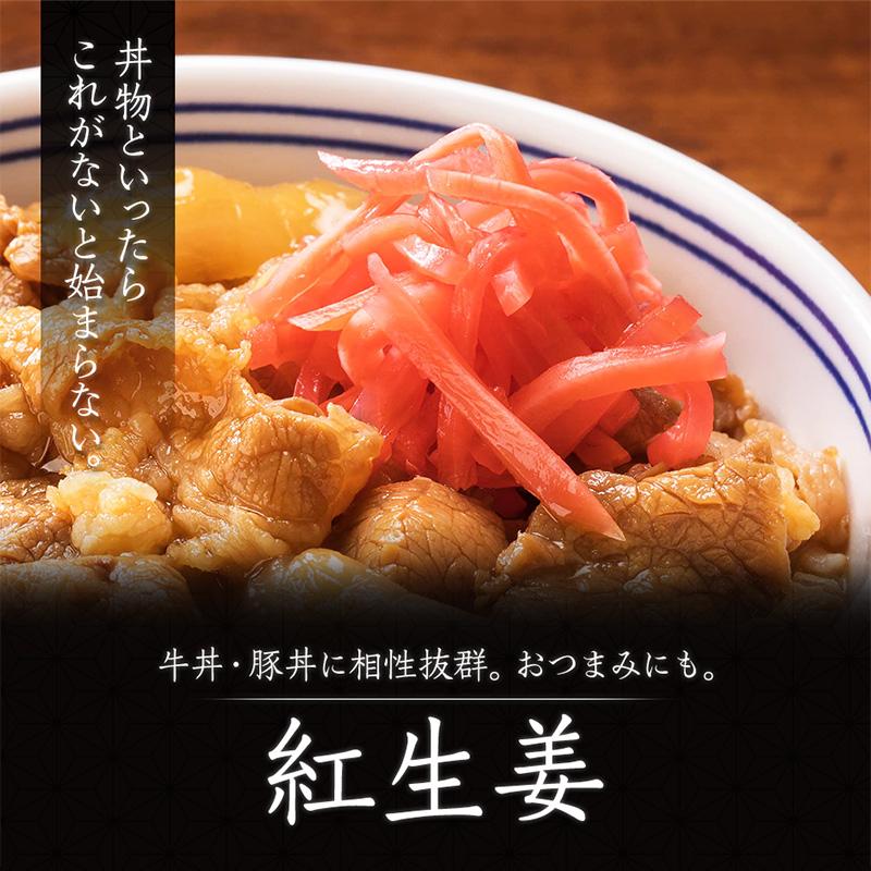 吉野家公式ショップ 大人気6品11袋セット(牛丼・豚丼・牛焼肉・親子丼・焼鶏各2袋、紅生姜1袋) 吉野家牛丼 牛丼の具 冷凍食品 送料無料 ギフト