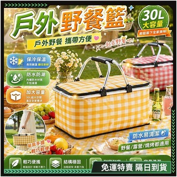 隔日達🌸全新上市 戶外野餐籃🌸正品 露營保溫袋 牛津布 野餐籃 摺疊收納籃 手提野餐籃 野餐包 購物籃 防水防潮 保冷袋