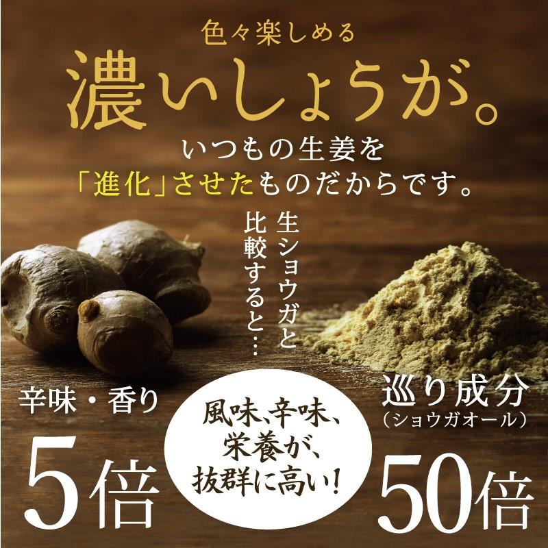 みらいのしょうが (生姜粉末) 250ｇ 黄金生姜 ＆ 黒蒸し生姜 無添加 熟成 ブレンド 生姜粉末 ジンジャー パウダー 業務用 送料無料