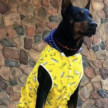 【加絨大狗衣服】碎花三明治加絨保暖帽衫開扣保暖特價金毛巨貴