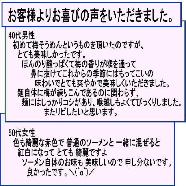 手延べ梅そうめん たっぷり1kg(20束) ギフト箱入 長崎島原手延べ素麺 お中元