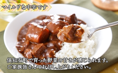 先行受付無地熨斗 倶知安 ビーフカレー 中辛 計10個 北海道 レトルト食品 牛肉 ビーフ 野菜 じゃがいも カレー レトルト お取り寄せ グルメ スパイス スパイシー