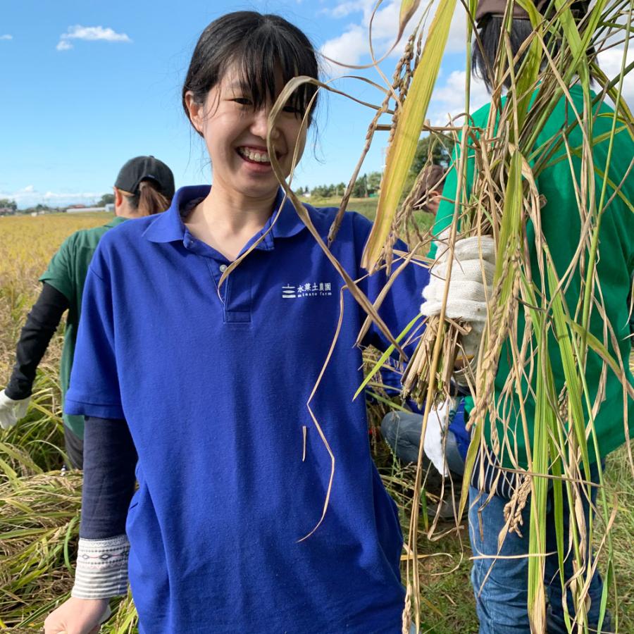 新米 米 お米 白米 精米 つや姫 15kg （5kg×3袋） 令和5年産 山形県産 古代米お試し袋付き