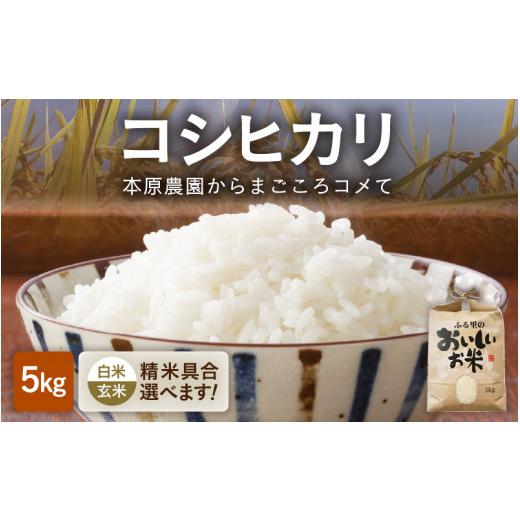 ふるさと納税 福井県 坂井市 [A-8902_02]  コシヒカリ 5kg 〜本原農園からまごころコメて〜