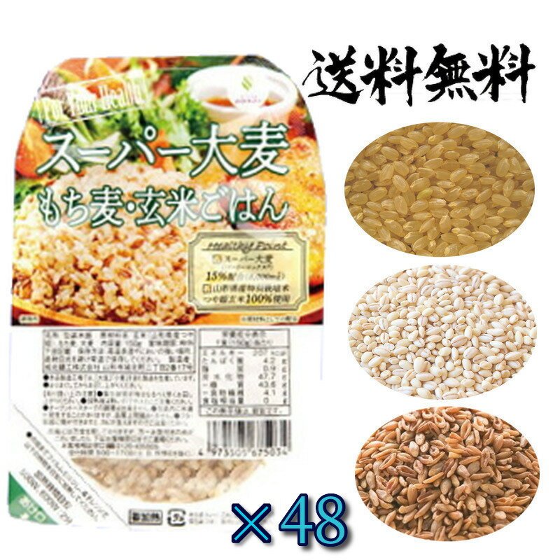 城北 スーパー大麦 バーリーマックス もち麦 玄米 レトルト ご飯 150g 48個 (24個×2箱)