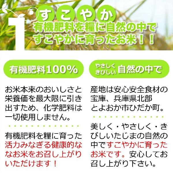 新米 無洗米 5kg コシヒカリ 白米 今ずり米 特別栽培米 令和5年産 兵庫県 但馬産 送料無料