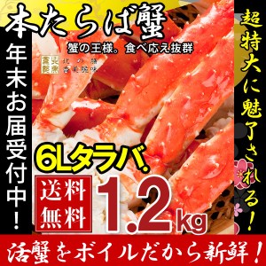 タラバガニ たらば蟹 脚 足 ボイル 極太 6L (1肩1kg強) 冷凍 北海道加工 たらば蟹 送料無料 かに ギフト プレゼント お買い得