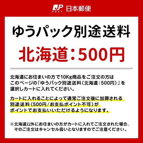 プチギフト 「お世話になりました」ギフト お米 広島県産 コシヒカリ 300g（2合）×10個 ごあいさつ 米　送料無料（※北海道・東北・沖縄・離島を除く）