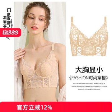 女士法式夏季大胸顯小薄款側收副乳聚攏超薄文胸軟鋼圈防下垂內衣
