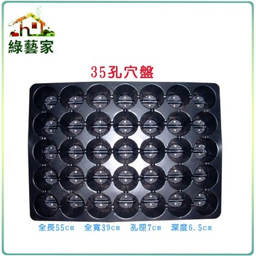 【綠藝家】35孔穴盤10個/組