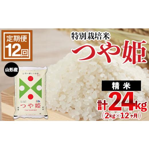 ふるさと納税 山形県 山形市 山形産 特別栽培米 つや姫 2kg×12ヶ月(計24kg) FZ21-331