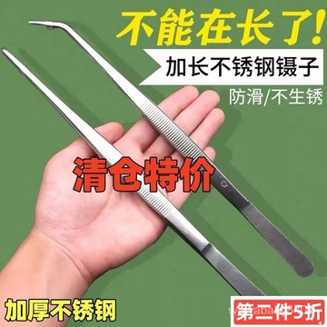 鑷子 不銹鋼 種多肉 夾水草 加厚 圓直頭 加長 鑷子 捉蟲 蠍子 動物 餵食彎頭 RTEE