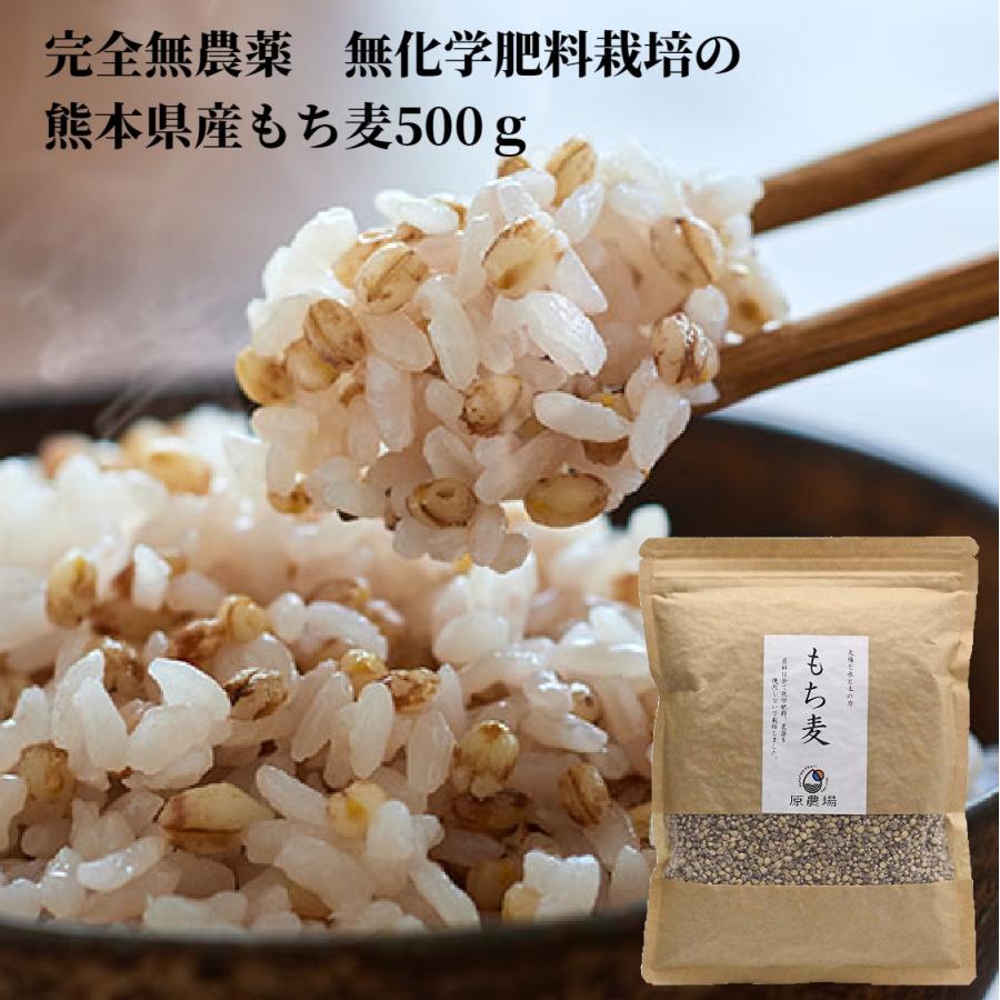 もち麦 有機JAS 国産 無農薬 原さんのもち麦500ｇ 完全無農薬 化学肥料不使用のもち麦 原農場 100％熊本県産 無化学肥料 有機栽培 送料無料 国産 メール便