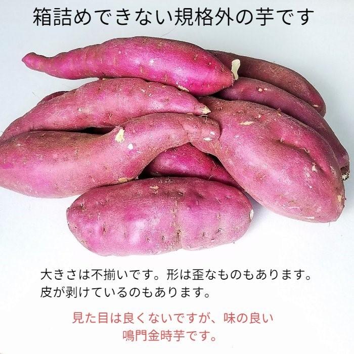 鳴門金時 さつまいも 訳あり品  2kg （M、Lサイズ ８〜１０本） 送料無料 徳島産 なると金時 野菜