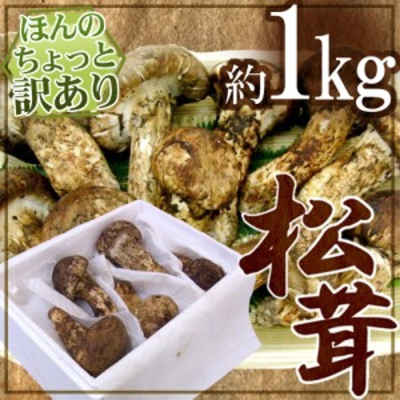 中国産 ”松茸” 約1kg 原体・ほんのちょっと訳あり つぼみ～開き 大きさ