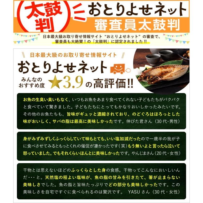 九州 お取り寄せ 干物 ひもの 食べ比べ 豪華 魚 お歳暮 ギフト 贈答 おつまみ 帰省暮 添加物不使用 無添加