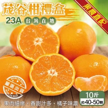 【果農直配】台灣茂谷柑23A禮盒10斤(約40-50顆)