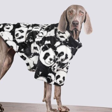 狗狗衣服大型犬金毛薩摩耶冬季保暖棉衣拉布拉多大狗加厚邊牧冬裝