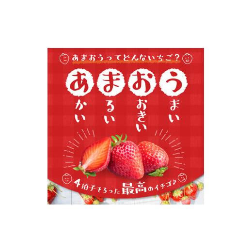 ふるさと納税 福岡県 久留米市 エコファーマー　あまおう（2023年12月〜順次発送）300ｇ×4パック