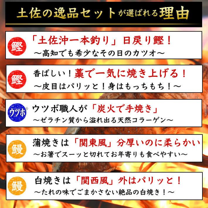 土佐久礼 藁焼き鰹たたきセット（国産うなぎ1 2・うつぼのたたき  ギフト