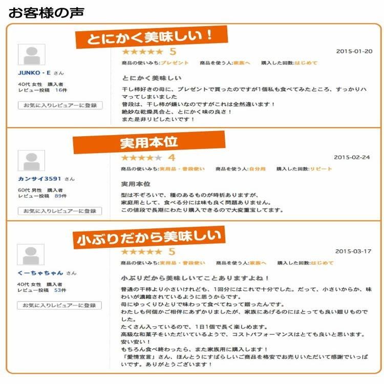 市田柿 干し柿 800g×3袋セット  自宅用 訳あり 干柿 ドライフルーツ 和菓子 茶菓子 長野県南信州産