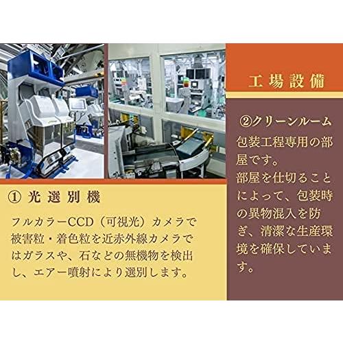 無洗米 青森県産 まっしぐら 10kg(5kg×2袋) お米 米 新米 精米 白米 令和5年産