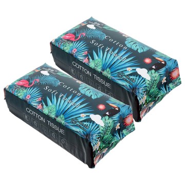 AHOYE 加厚抽取式洗臉巾 20 x 20公分 50張  2包  混和顏色