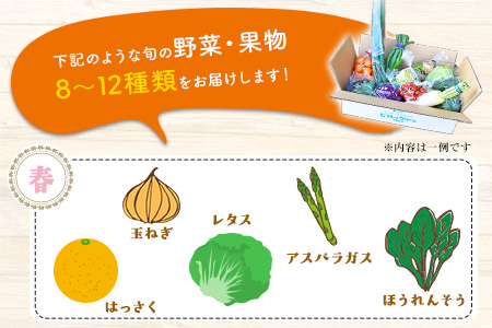 3ヶ月定期便 旬の新鮮野菜・果物詰合せセット (計3回お届け)たっぷり8-12品目 熊本県氷川町産 道の駅竜北《お申込み月の翌月から出荷開始》---sh_cmitiysiatei_21_50000_mo3num1---