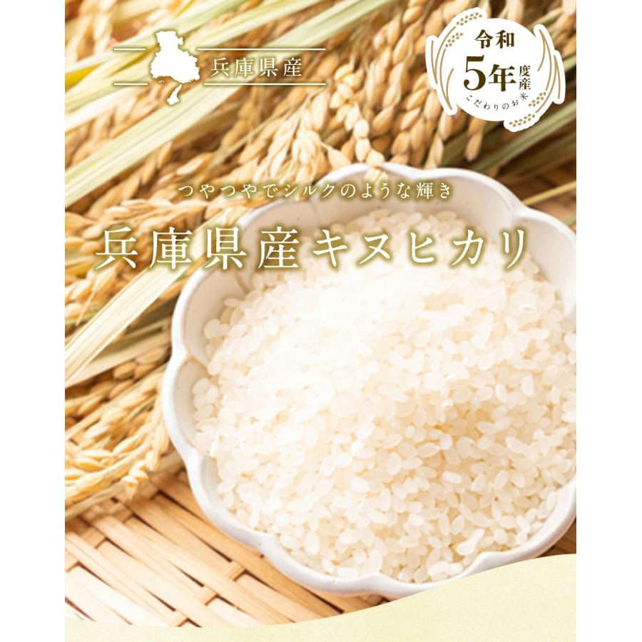 新米 兵庫県産キヌヒカリ5kg（5kg×1袋）  送料無料 令和5年産 キヌヒカリ 精米 お米 米 兵庫県産 5kg（北海道・沖縄別途送料）（配達日・時間指定は不可）