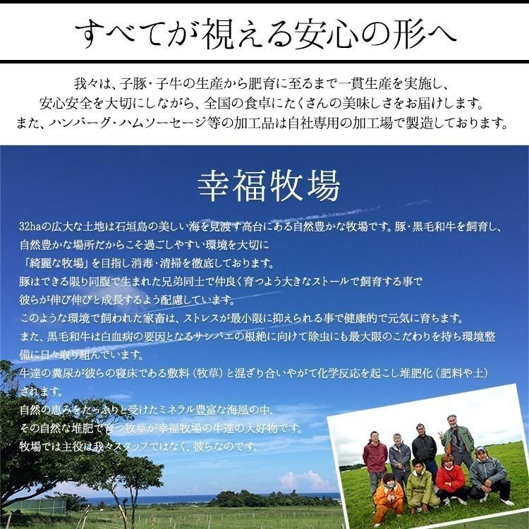 沖縄県石垣島産 アグー豚 南ぬ豚(ぱいぬぶた) 無添加ソーセージ(島唐辛子) 100g