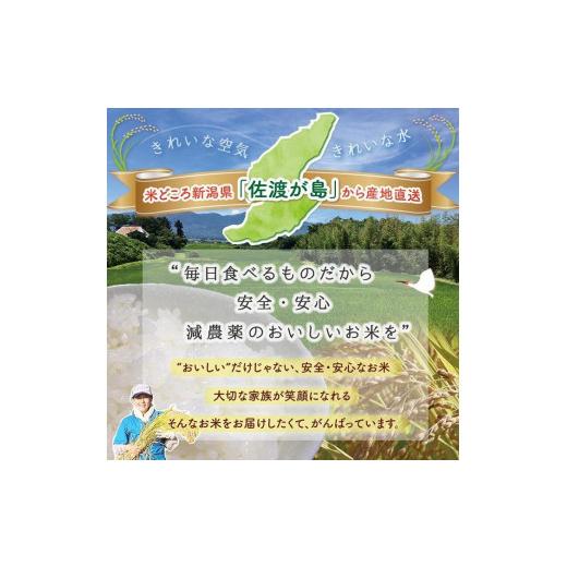 ふるさと納税 新潟県 佐渡市  佐渡島産 コシヒカリ 白米10Kg 特別栽培米