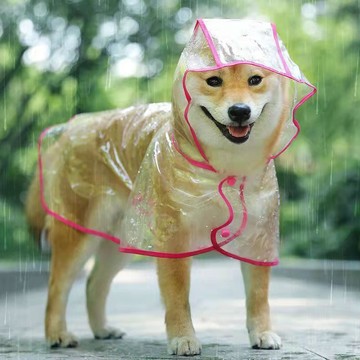 狗狗雨衣透明防水中大型金毛泰迪柴犬中小型大型犬寵物衣服雨披