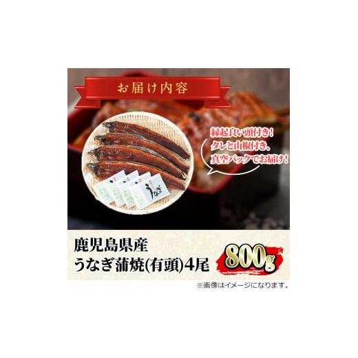 ふるさと納税 鹿児島県 東串良町 12月17日までのご入金で年内発送！大隅産うなぎの蒲焼 計約800g(約200g×4尾・有頭)