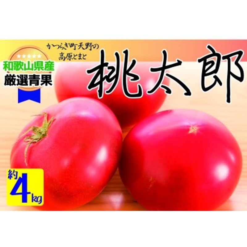 ☆7月中旬以降発送☆太陽の恵みたっぷりの天野とまと【桃太郎トマト約