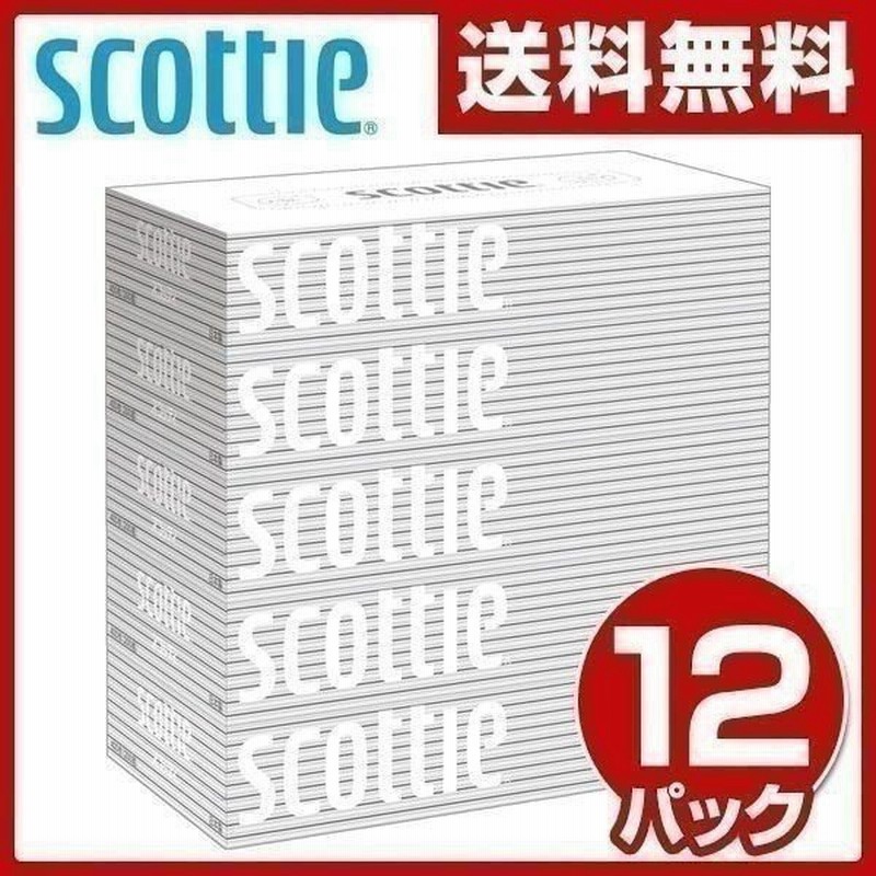 スコッティ ティッシュペーパー 0組 5箱 12パック ティシュペーパー まとめ買い ケース販売 安い 業務用 通販 Lineポイント最大0 5 Get Lineショッピング