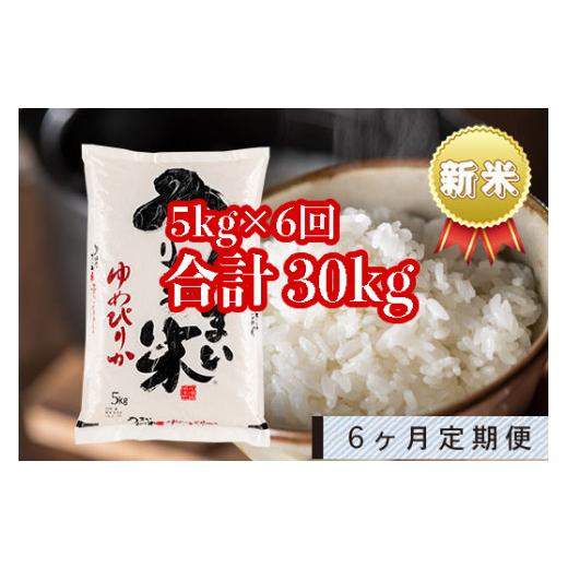 ふるさと納税 北海道 雨竜町 うりゅう米「ゆめぴりか」5kg 定期便！毎月1回・計6回お届け