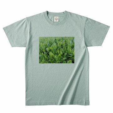 茶葉新芽 經典T恤