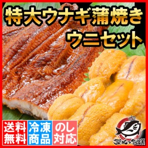 うにうなぎセット ＜松＞ 超特大国産うなぎ蒲焼き 平均250g前後×2尾 生ウニ 100g タレ付き 柔らかうなぎと生ウニの贅沢セット【うなぎ